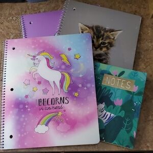 Colorful Unicorn and Cat Notebooks Set